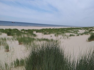 Holiday house Sint Maartenszee Environment 22