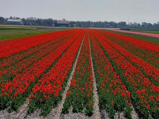 Ferienhaus Sint Maartenszee Umgebung 29