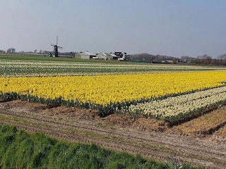 Holiday house Sint Maartenszee Environment 20