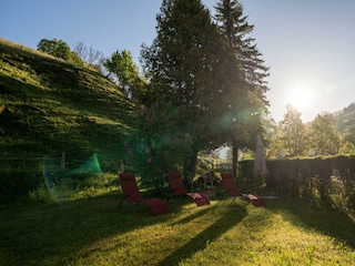 Liegewiese und Garten