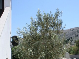 Apartment Pag (Stadt)  5