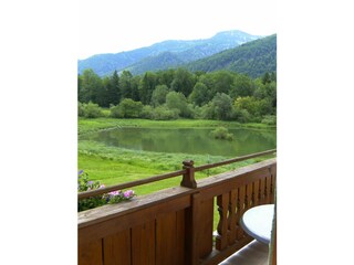 Vakantieappartement Faistenau Kenmerken 22