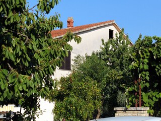 Apartment Novigrad (Istrien)  3