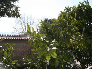 Holiday room Baška Voda  17