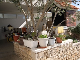 Apartment Drasnice  8