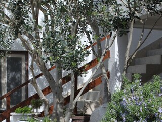 Apartment Drasnice  10