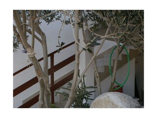 Apartment Drasnice  11