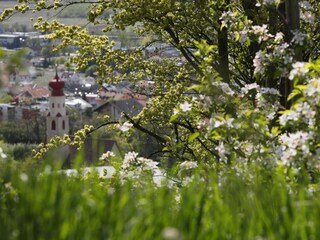 Appartamento per vacanze Naturns Ambiente 8