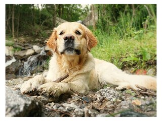 Appartamento per vacanze Naturns Caratteristiche 17