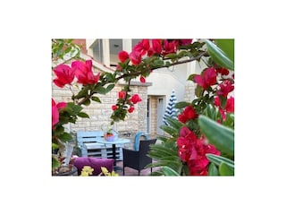 Apartment Vis (Stadt)  6