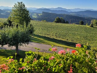 Aussicht auf Bergwelt