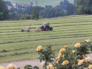 Casa per le vacanze Weitnau Registrazione all'aperto 8