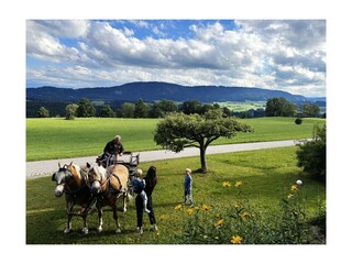 Casa per le vacanze Weitnau Registrazione all'aperto 5