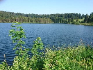 Vakantiehuis Weitnau Omgeving 33
