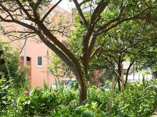 Apartment Podgora  5