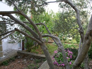 Apartment Podgora  7