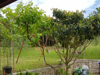 Apartment Korcula (Stadt)  13