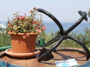 Three bedroom apartment with terrace and sea view Kali, Ugljan A-834-c