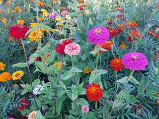 Ferienwohnung Egestorf Umgebung 15