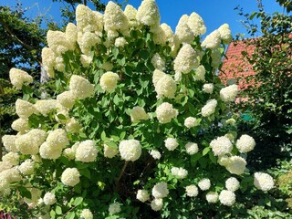 Ferienwohnung Egestorf Umgebung 16