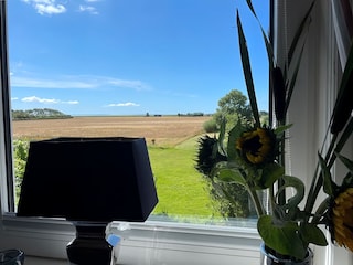 Blick aus dem Fenster