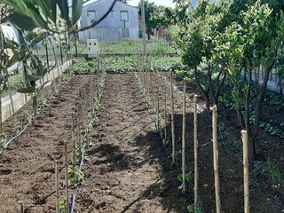 Apartment Bibinje  8