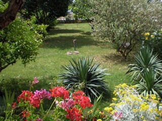 Apartment Sukošan  5