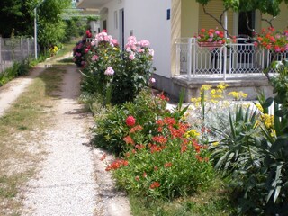 Apartment Sukošan  7