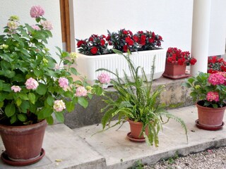 Apartment Sukošan  8