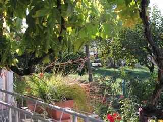 Apartment Sukošan  22