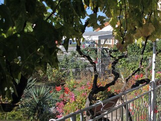 Apartment Sukošan  23