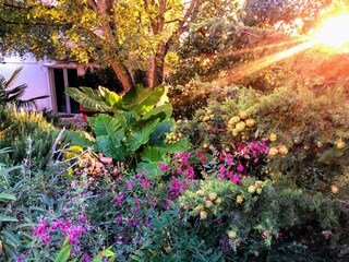 LOFT Botanical garden.