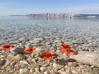 Chrystal clear sea water.