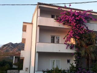 Holiday room Starigrad  8