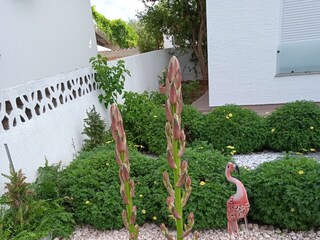 Apartment Pirovac  8