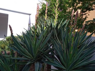 Apartment Pirovac  10