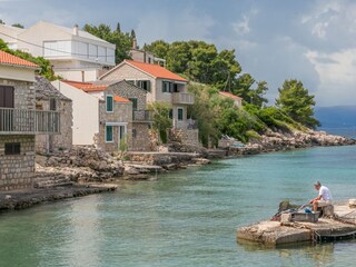 Apartment Donje Selo  4