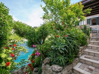 Apartment Donje Selo  6