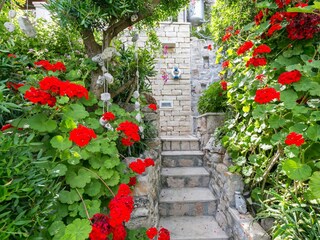 Apartment Donje Selo  8