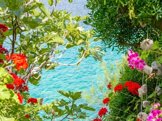 Apartment Donje Selo  9