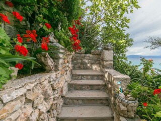 Apartment Donje Selo  14