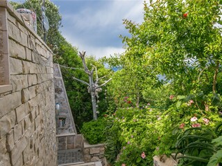 Apartment Donje Selo  15