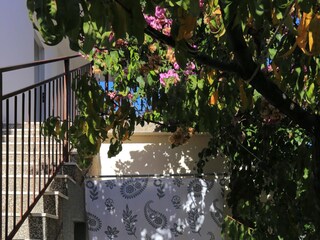 Apartment Marina in Kroatien  7