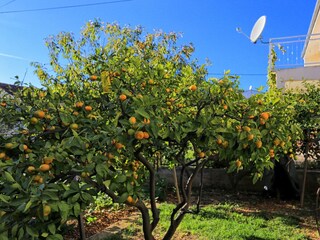 Apartment Marina in Kroatien  9