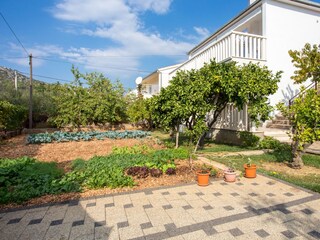 Apartment Marina in Kroatien  10