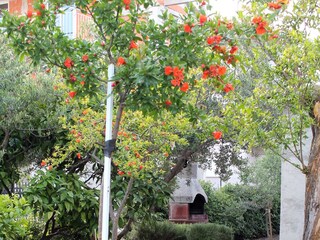 Apartment Kastel Stafilic  5