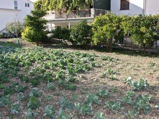 Apartment Kastel Stafilic  7