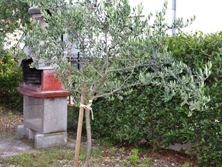 Apartment Kastel Stafilic  10