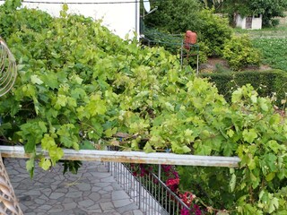 Apartment Kastel Stafilic  51