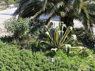 Apartment Zivogosce  9